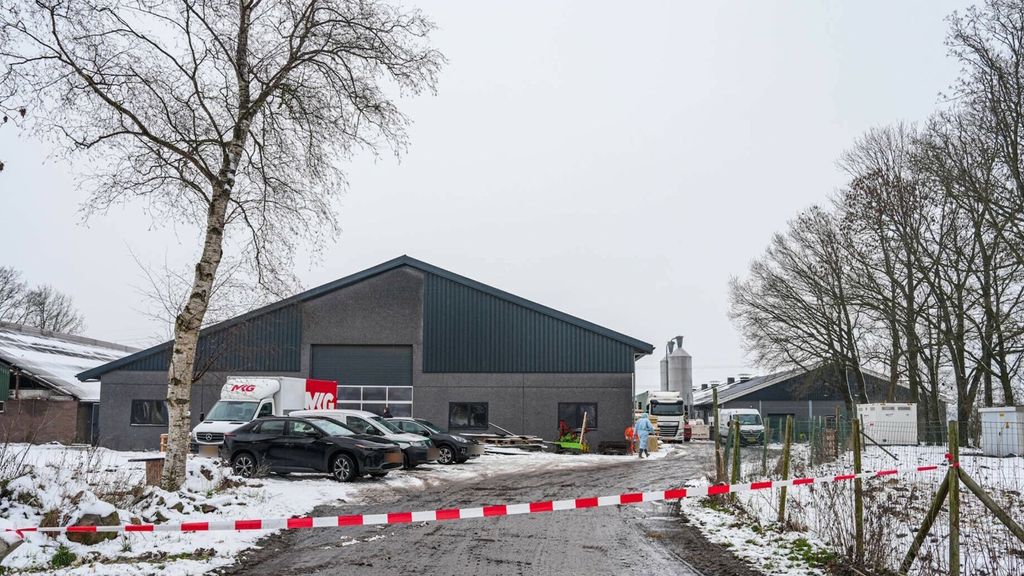 Vogelgriep op pluimveebedrijf Dalen, 15.000 kippen geruimd
