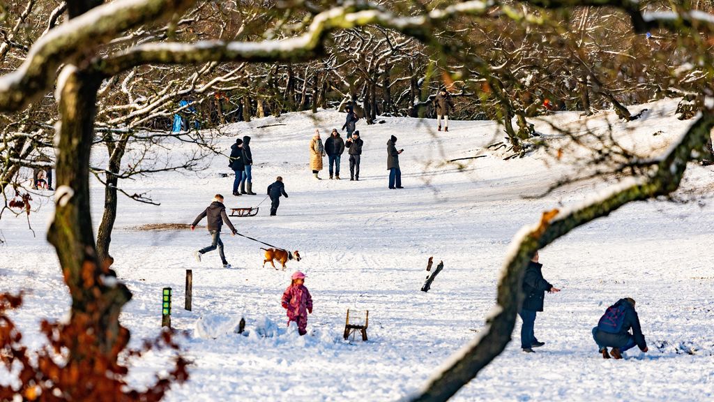 Ondanks relatief koude januarimaand was deze winter juist erg zacht