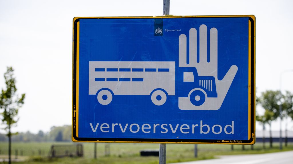 Vogelgriep vastgesteld bij kalkoenenbedrijf in Moergestel