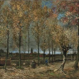 NU+ | Van Gogh gaf restaurator zware kluif met in Parijs aangepast schilderij